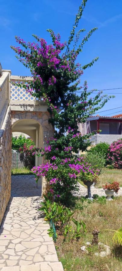 Villa Kadinela, 200M From Kamenjak, Huge Quiet Garden With Barbecue, 2 New Kitchens 普莱曼图拉 外观 照片