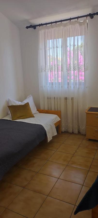 Villa Kadinela, 200M From Kamenjak, Huge Quiet Garden With Barbecue, 2 New Kitchens 普莱曼图拉 外观 照片