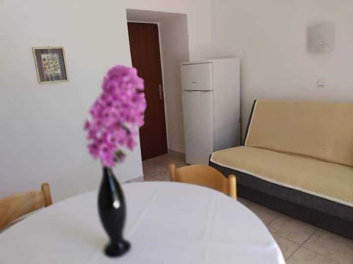 Villa Kadinela, 200M From Kamenjak, Huge Quiet Garden With Barbecue, 2 New Kitchens 普莱曼图拉 外观 照片
