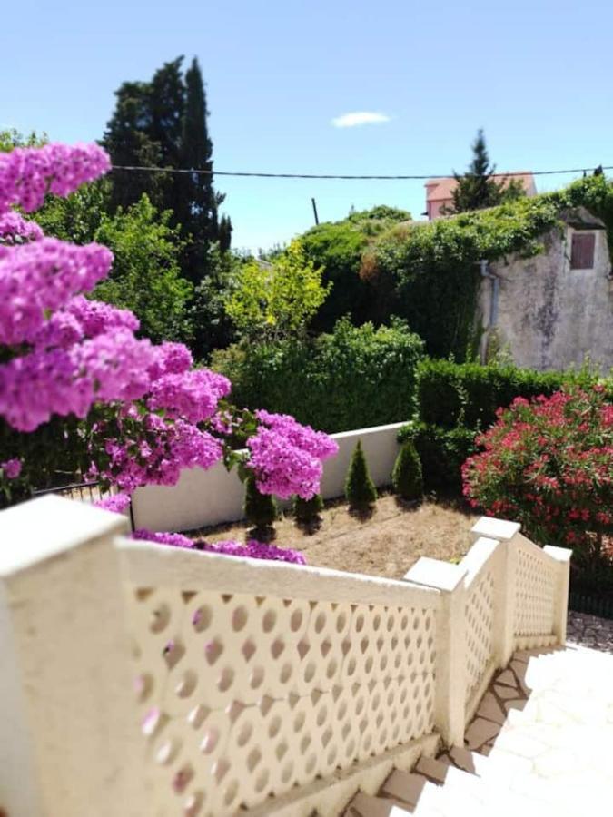 Villa Kadinela, 200M From Kamenjak, Huge Quiet Garden With Barbecue, 2 New Kitchens 普莱曼图拉 外观 照片