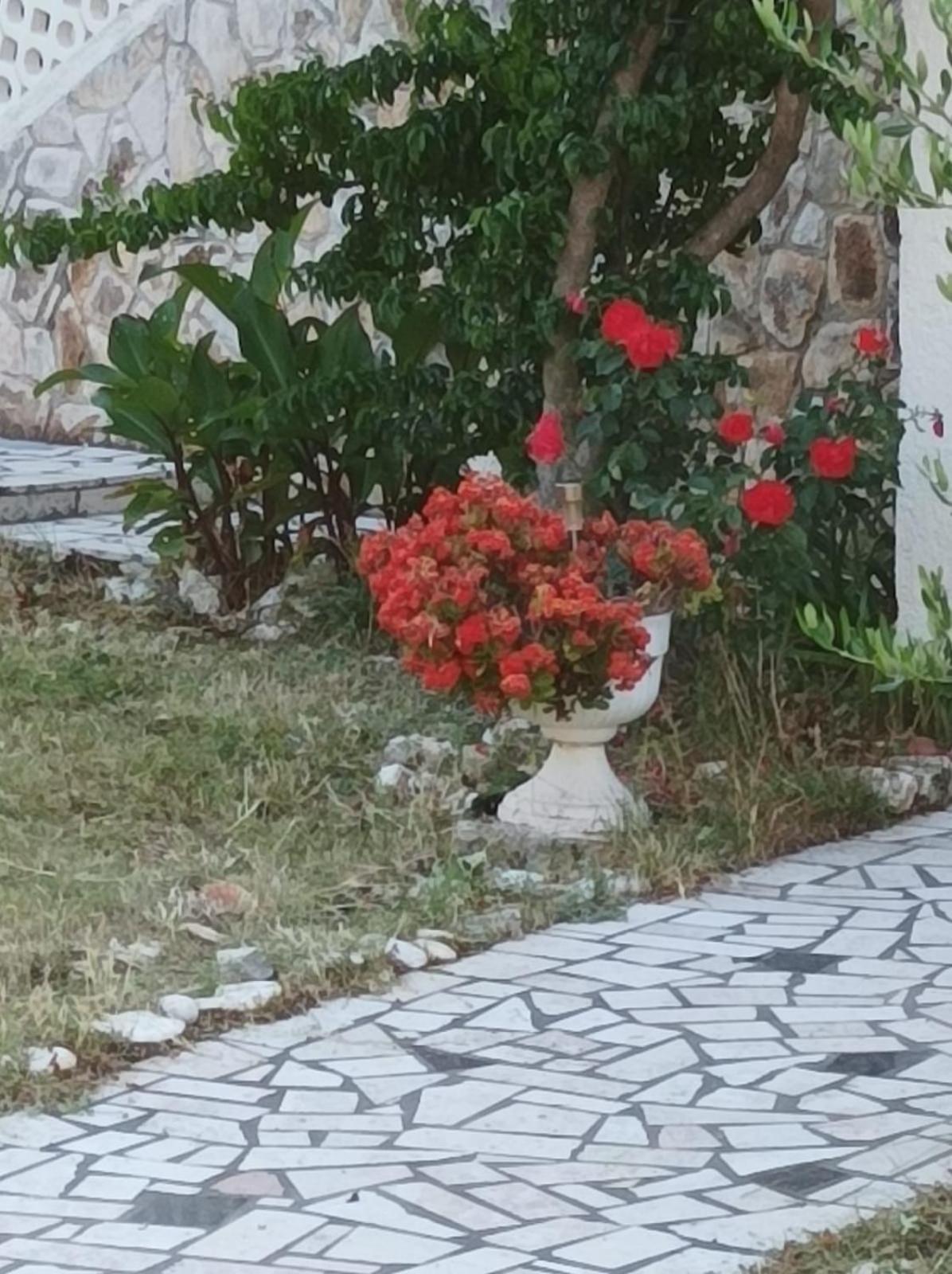 Villa Kadinela, 200M From Kamenjak, Huge Quiet Garden With Barbecue, 2 New Kitchens 普莱曼图拉 外观 照片